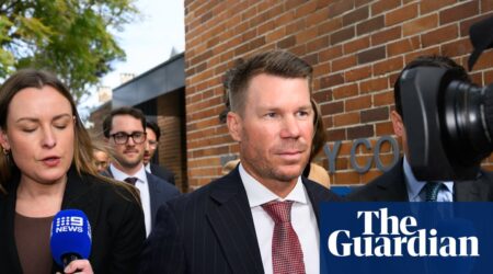 Cricket great David Warner decries ‘media onslaught’ after drink-driving conviction